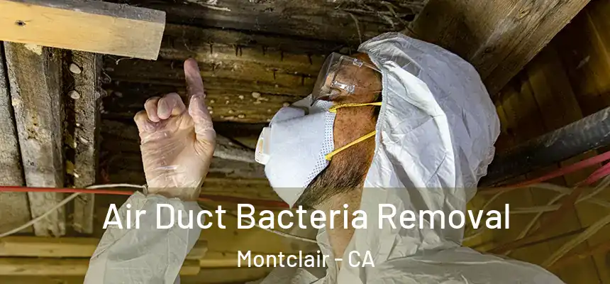 Air Duct Bacteria Removal Montclair - CA
