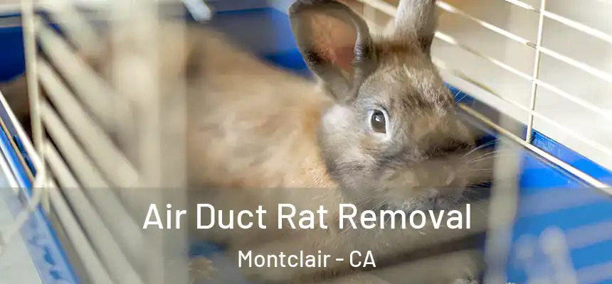 Air Duct Rat Removal Montclair - CA