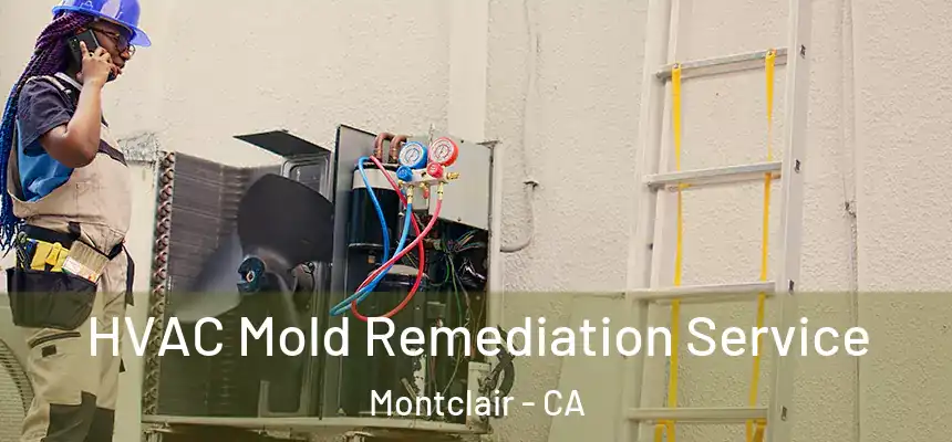 HVAC Mold Remediation Service Montclair - CA