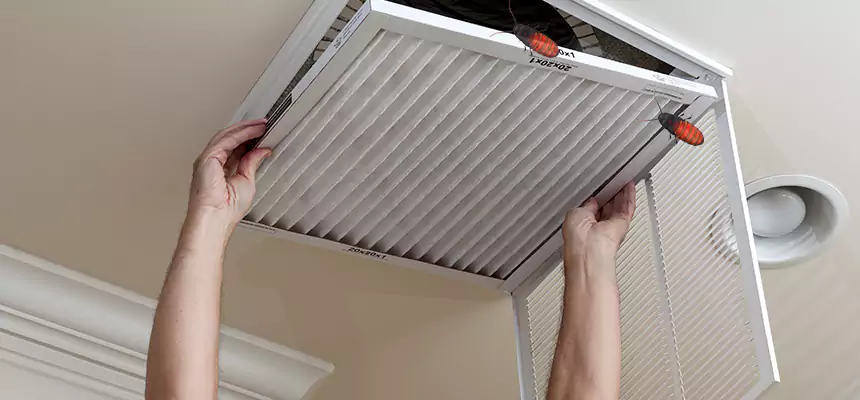 Our Insect Removal from Air Ducts Services in Montclair, CA