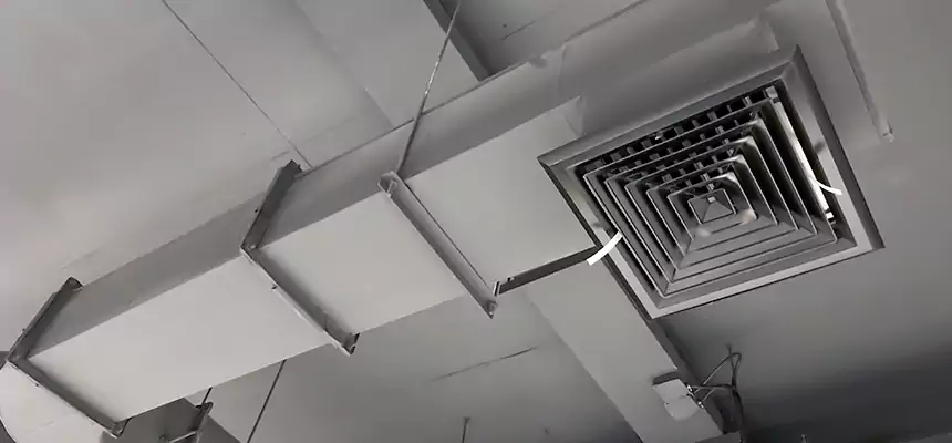 Our Pest Removal From Ducts Services in Montclair, CA