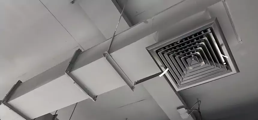 Our Rodent Droppings In Vents Services in Montclair, CA