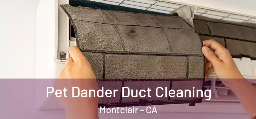 Pet Dander Duct Cleaning Montclair - CA