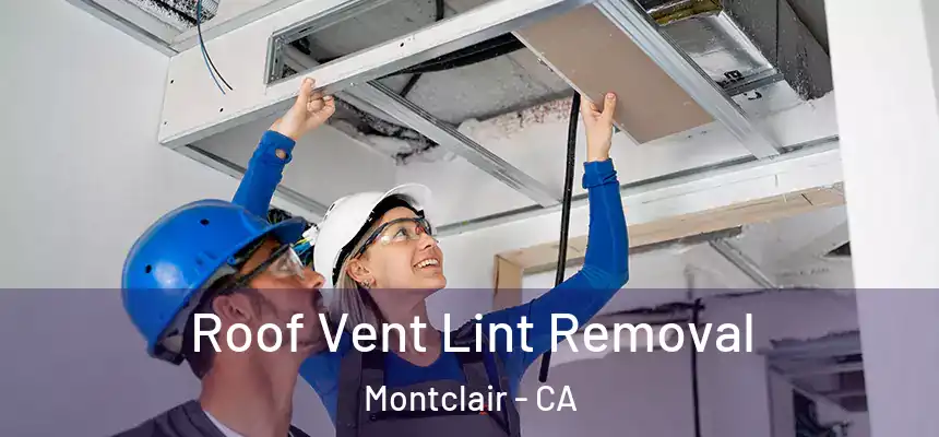  Roof Vent Lint Removal Montclair - CA