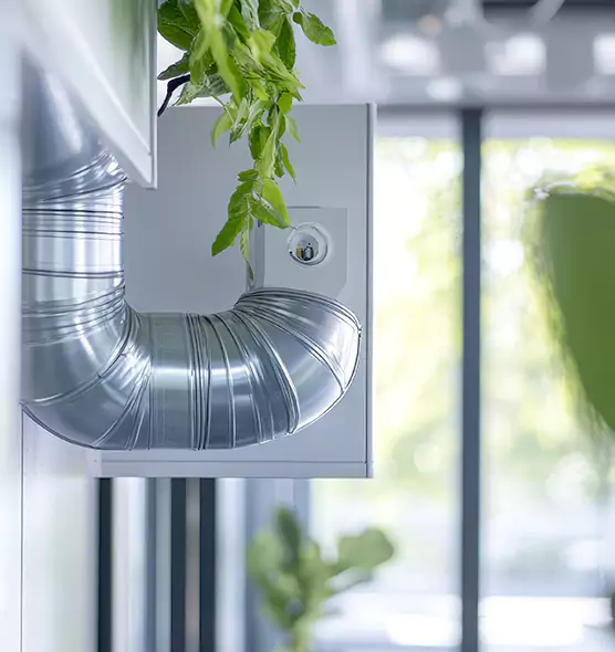 Professional Eco-Safe Dryer Vent Cleaning in Montclair, CA