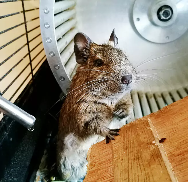 Why Homeowners & Businesses Trust Us Montclair, CA