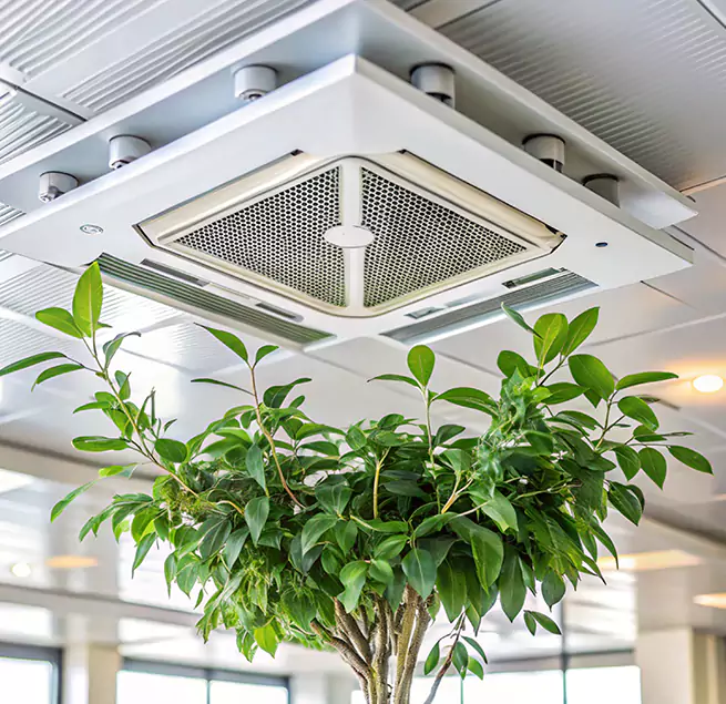 Why Homeowners & Businesses Trust Us in Montclair, CA?